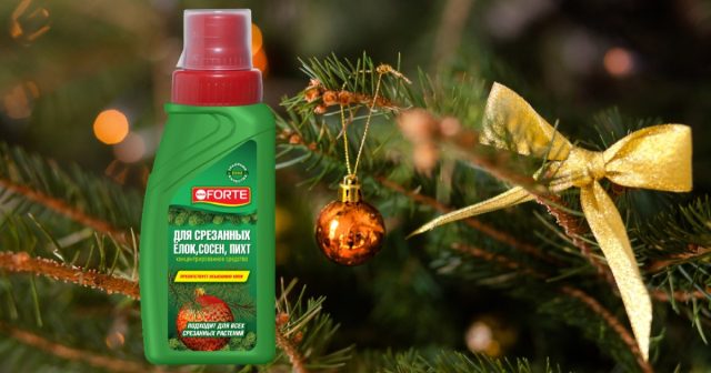 Средство для продления жизни новогодних ёлок, пихт, туй Bona Forte