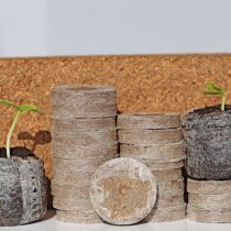 Определяем весь объём необходимого для выращивания рассады — от торфяных таблеток до фитоламп.