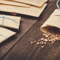 Из семян обязательно выкидываем всё просроченное более 2-х лет, составляем список имеющегося в наличии.