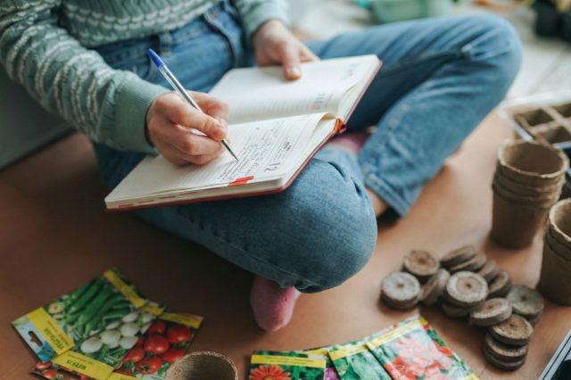 Посевной календарь помогает ориентироваться, но стандартные варианты не учитывают наши личные условия и график, поэтому мы сами размечаем все ключевые даты старта сезона под себя в крупноклеточном календаре — когда сеять рассаду, клубни и луковицы, чтобы всё успеть вовремя.