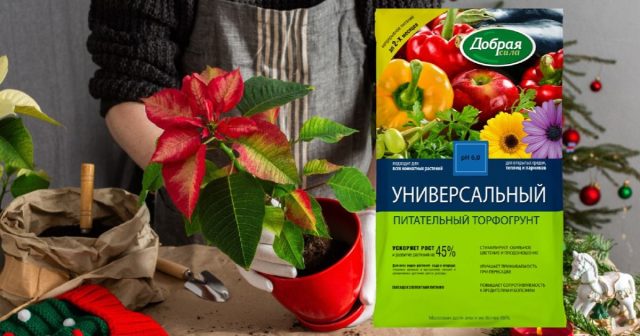 Питательный торфогрунт универсальный, 5 л Добрая сила.