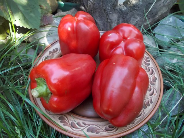 Сладкий перец Калифорнийское чудо