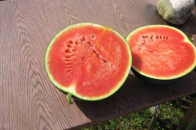 Сахарный малыш. Ранний, компактные плоды до 3 кг, ярко-красная очень сладкая мякоть. Успевает вызреть в открытом грунте.