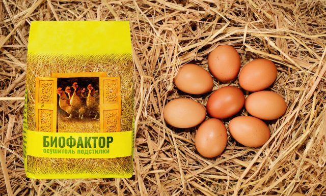 Для поддержания сухости и борьбы с влажностью в закрытом помещении специалисты рекомендуют использовать Биофактор — осушитель подстилки.