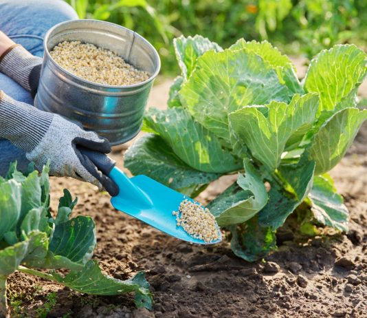 Что вы не знали о минеральных удобрениях — мифы и реальная польза