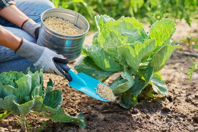 Что вы не знали о минеральных удобрениях — мифы и реальная польза