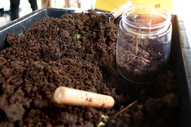 Биогумус — это мягкая, рассыпчатая масса, напоминающая жирный чернозем. Эта переработанная червями органика имеет однородную структуру, пахнет свежей землей и легко смешивается с почвой, мгновенно питая корни.