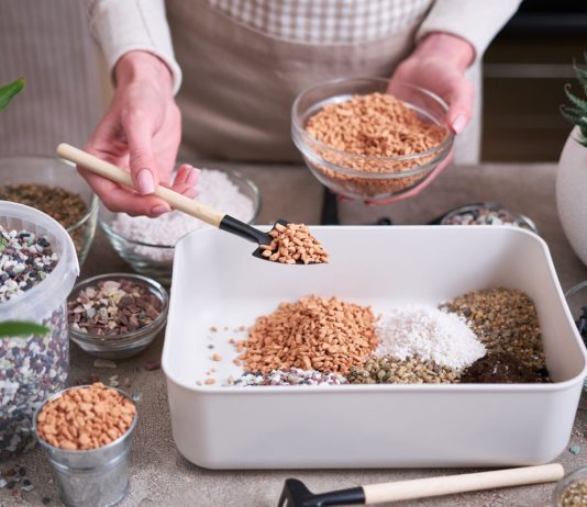 Что добавить в грунт для здоровья комнатных растений — 10 лучших вариантов