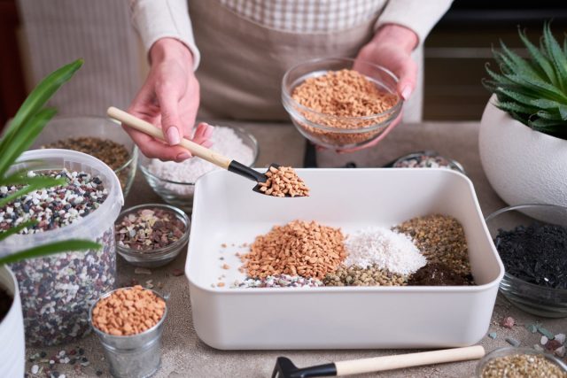 Что добавить в грунт для здоровья комнатных растений — 10 лучших компонентов