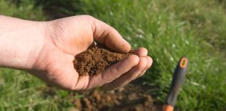 Как определить тип почвы на даче, не делая ни одного анализа
