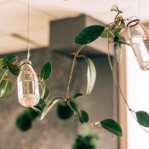 Стеклянные емкости лучше использовать для молодых сеянцев или некрупных растений — из-за веса конструкции.