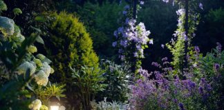 Создаем «лунный» сад своими руками — ваш участок не будет прежним