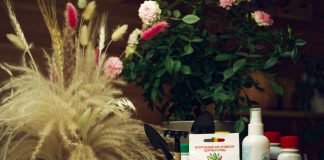 Как сохранить живую почву и поддержать органический баланс с «Урожайным годом»