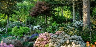 бесконтрольная эксплуатация окружающего мира заставила нас задуматься: как сохранить то, что еще можно спасти? Оказалось, что чисто психологически люди не могут долго обходиться без связи с живой средой.