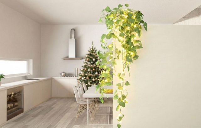 Эпипремнум золотистый особенно эффектно смотрится с подсветкой: аккуратно обвитая вокруг побегов или горшка гирлянда с мелкими LED-огоньками придаёт растению мягкое сияние и усиливает ощущение праздника.