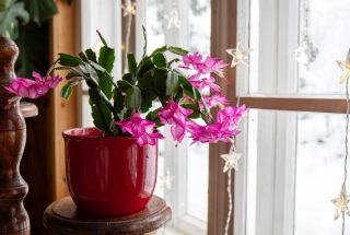 Шлюмбергера 