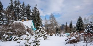 Тонкости ухода за участком зимой – удобство, порядок и безопасность