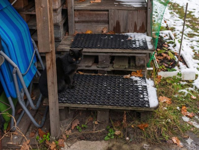 Эффективное решение — резиновые накладки или коврики с ячеистой структурой. Они обеспечивают отличное сцепление в мороз, легко монтируются на любые поверхности и делают передвижение безопасным для всех обитателей дома.