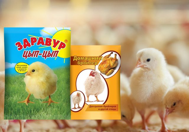 Корм для бройлеров «Домашний Бройлер» обеспечивает быстрый набор мышечной массы за счёт высокого белка и энергии, а корм для несушек «Здравур Цып-Цып» с балансом витаминов и умеренным белком формирует крепкий скелет и репродуктивную систему
