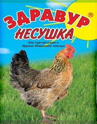 «Здравур Несушка»