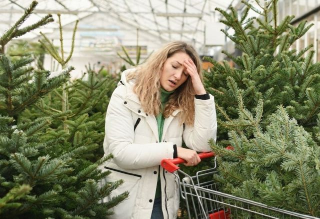 Живая ёлка против искусственной — разбираемся раз и навсегда