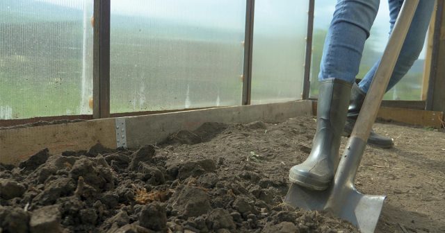 Использование уличной земли, старого тепличного грунта или обнаружение личинок и вредителей — прямой сигнал к обеззараживанию. Без обработки такая почва становится источником болезней и способна погубить растения ещё на стадии рассады.