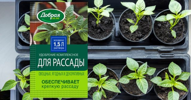 Комплексное удобрение для рассады, 15 мл Добрая сила