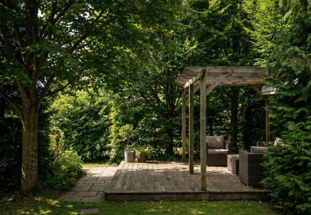 Крупномеры — это мгновенный результат для вашего комфорта. Высокие лиственные или хвойные деревья надежно скроют участок от соседских окон и создадут уютную тень. Выбирайте взрослые растения, чтобы не ждать долгие годы развития сада.