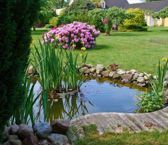 Как безопасно очищать дачные водоёмы и бассейны?