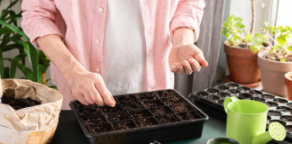 Лунный календарь садовода и огородника на февраль 2026 года