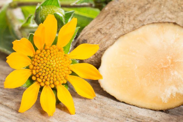 Якон — почему я продолжу его выращивать? Якон — почему я продолжу его выращивать?