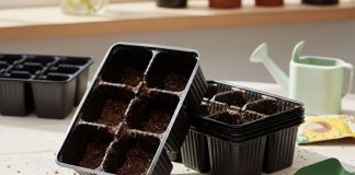 Рассада в старых ёмкостях – как сэкономить и не убить всходы?