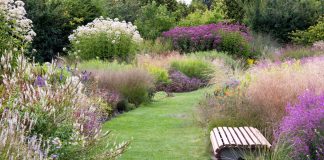 Что такое современный сад? Гид по ландшафтным трендам 2026 года