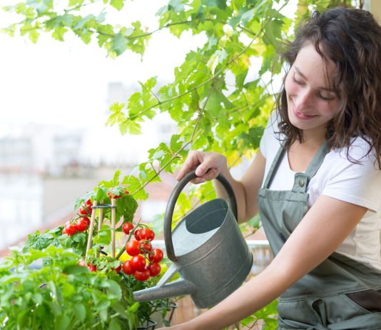 Как оборудовать мини-огород на балконе и получать урожай круглый год?