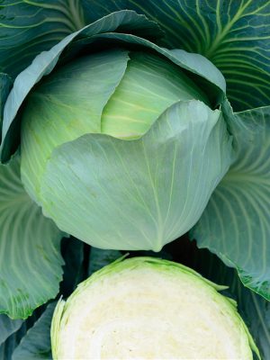 Позднеспелый гибрид с плотными округлыми кочанами массой 2–3 кг. Сочный, хрустящий срез и отличная лёжкость до 8 месяцев делают сорт идеальным для квашения и зимнего хранения.