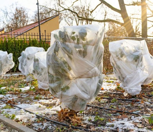 Осторожно, оттепель! 5 срочных дел в саду, когда снег начал таять