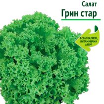 Среднеспелый листовой салат с крупной розеткой волнистых зелёных листьев. Быстро наращивает массу, устойчив к стрелкованию и погодным стрессам, богат калием и витамином А.