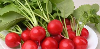 Устойчивые сорта и гибриды овощей — экологический урожай