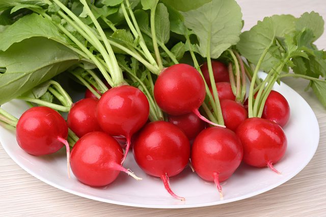 Устойчивые сорта и гибриды овощей — экологический урожай