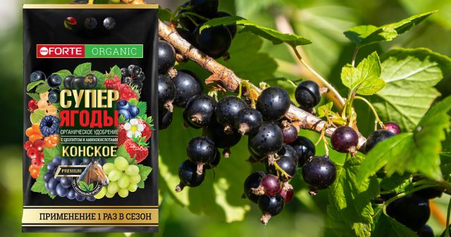 Конское премиум удобрение с цеолитами и аминокислотами Bona Forte