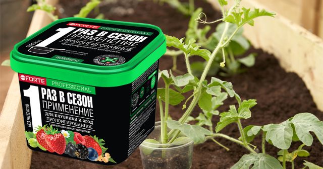 гранулированное пролонгированное удобрение Для клубники и ягод Bona Forte