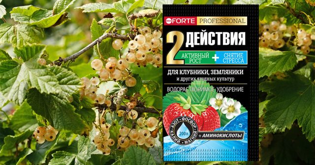 Удобрение Для клубники, земляники с аминокислотами Bona Forte