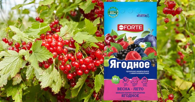 Удобрение Ягодное Bona Forte