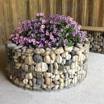 Мини-клумба из габиона