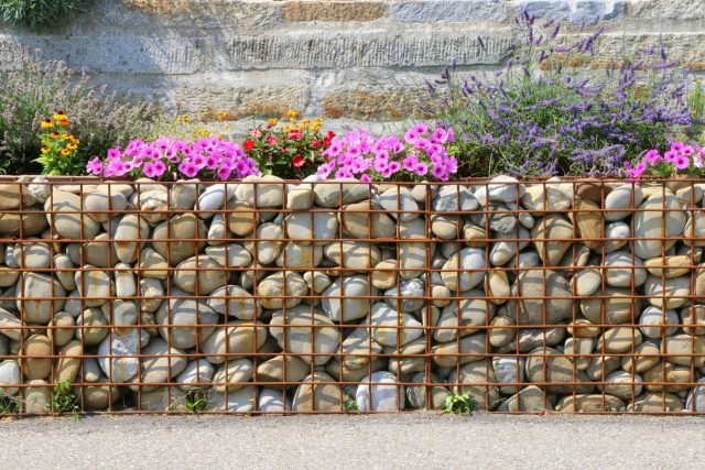Габионы позволяют создавать аккуратные и долговечные грядки любой формы. Они экономят пространство, улучшают дренаж и превращают обычный огород в продуманный дизайнерский элемент сада.