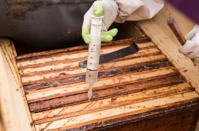 Осенняя обработка от клеща — ключ к сильной зимующей пчеле. Именно сейчас формируется поколение, которое переживёт холода. Пропуск этого этапа часто означает потерю семьи к весне.