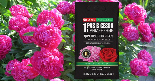 Гранулированное пролонгированное Премиум Для пионов и роз Bona Forte Гранулированное пролонгированное Премиум Для пионов и роз Bona Forte
