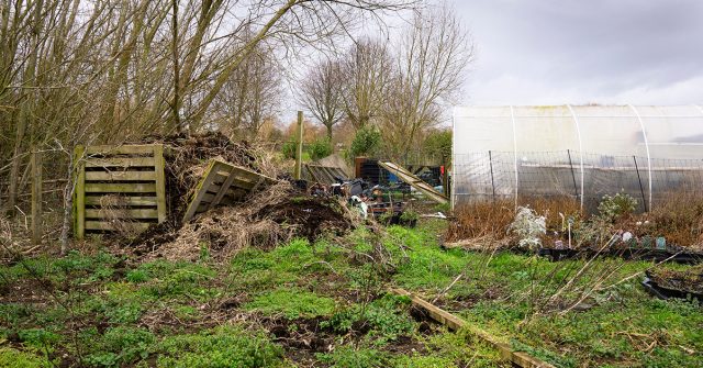 Тень и постоянная сырость — идеальные условия для мха. Под густыми кронами и вдоль заборов почва почти не просыхает, воздух плохо циркулирует, и мох начинает активно захватывать поверхность, вытесняя травы.