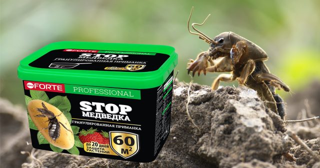 СТОПмедведка Bona Forte