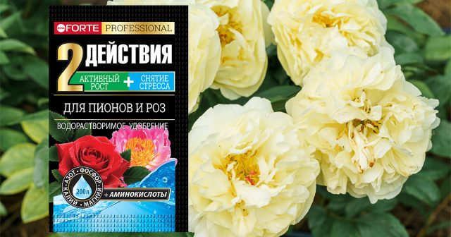 водорастворимое Bona Forte 2 в 1 для роз и пионов с аминокислотами водорастворимое Bona Forte 2 в 1 для роз и пионов с аминокислотами